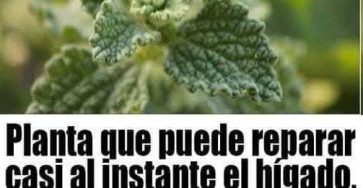 550518091 122150497256809999 2239564028136481193 n