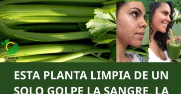 578956545 122178155684492222 7225160881029092032 n (1)