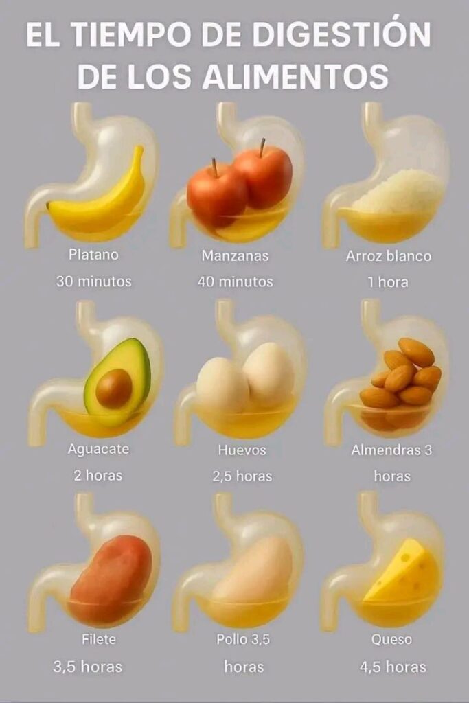 597827775 122124359558992455 8736463550879620719 n 683x1024