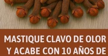 607644411 826685443676136 1420415632300906219 n