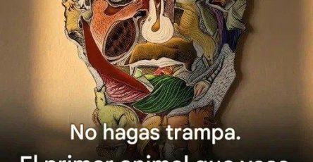 616838184 859359110401981 1950674538182520028 n