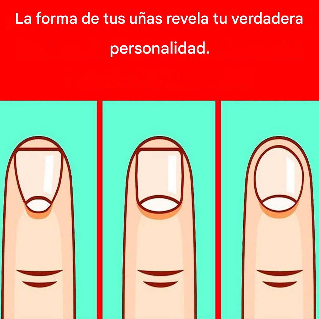 625896765 1987943578817937 8299206722471071678 n