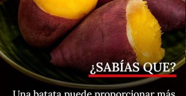 626013471 906767261715701 1640681209819762528 n