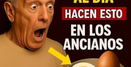 626085020 1586515599156493 1829438578662941667 n