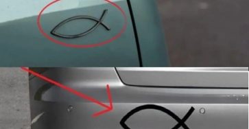 627385442 1904408496872029 1784453723587842287 n