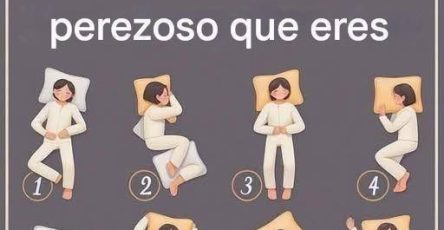 628385686 122513463218553961 8266743385517071492 n