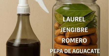 629336249 122231213996110163 7526081333723718234 n