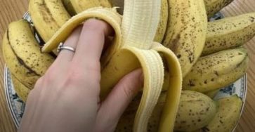 631975781 122112348381172030 1244127719999953098 n