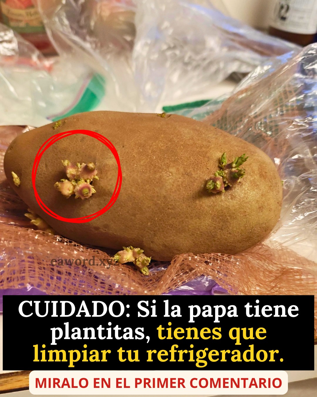 633786711 1345483557622915 6794586204585940191 n