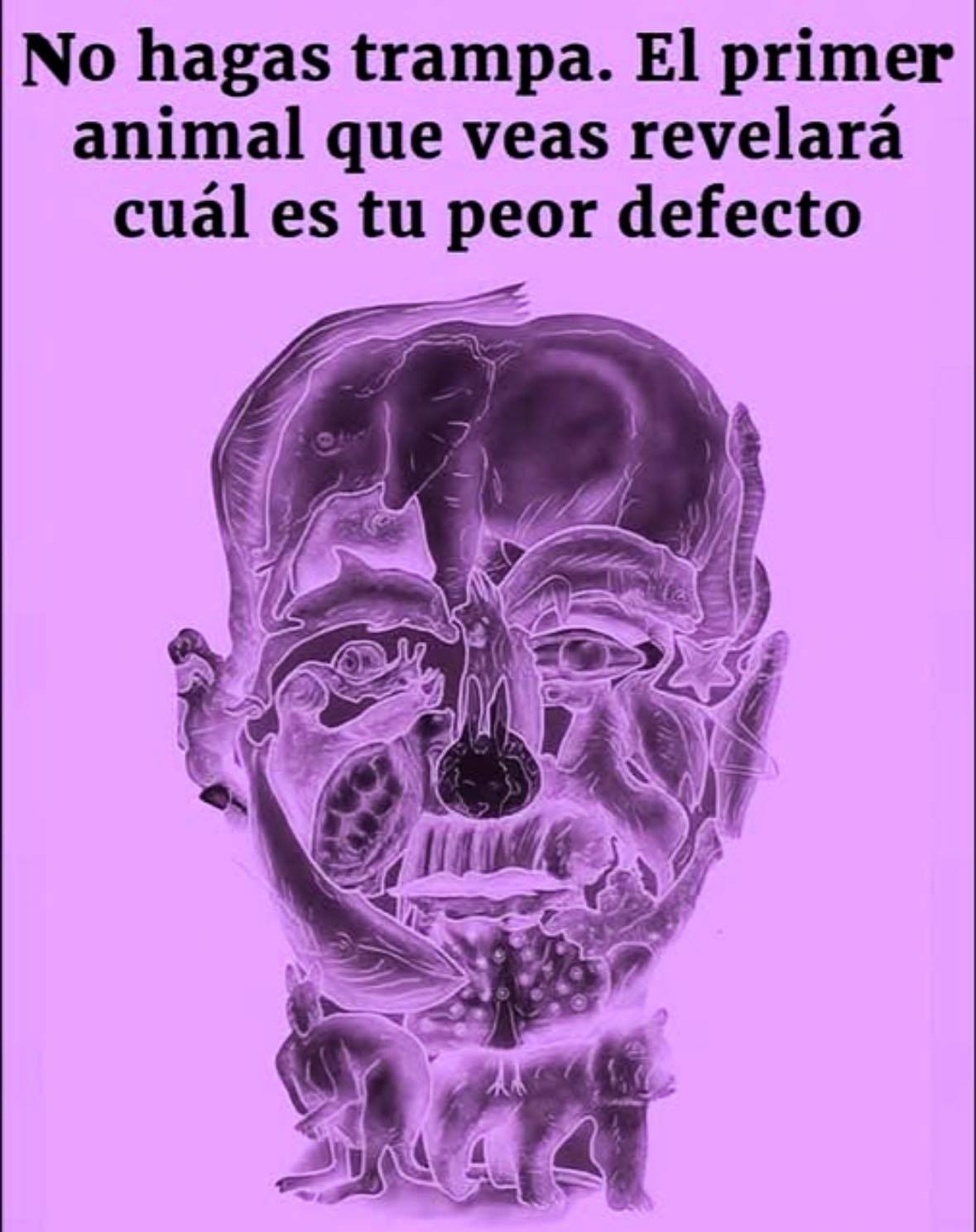 633802486 122113694601191055 2581821256696159437 n