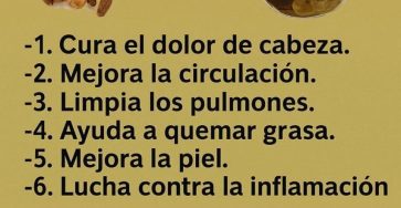 633889288 1501573431304058 5050955295476335916 n