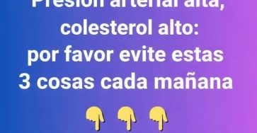 635003393 1852190805435400 4619461835174345541 n