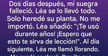 636788867 122100845979263812 791951348699651082 n