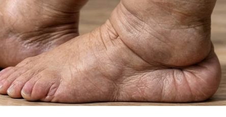 636847385 1046189761900948 123300919381748358 n