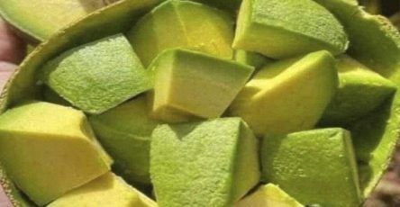 636912302 122102125545262437 2477954803680967809 n