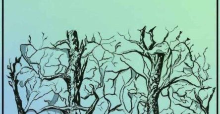 637723403 122106382503245962 4309520326982877386 n