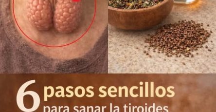 638601147 122249888702087892 795191576225735598 n