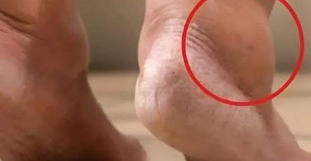 640053221 918400977812139 5287020453129946357 n