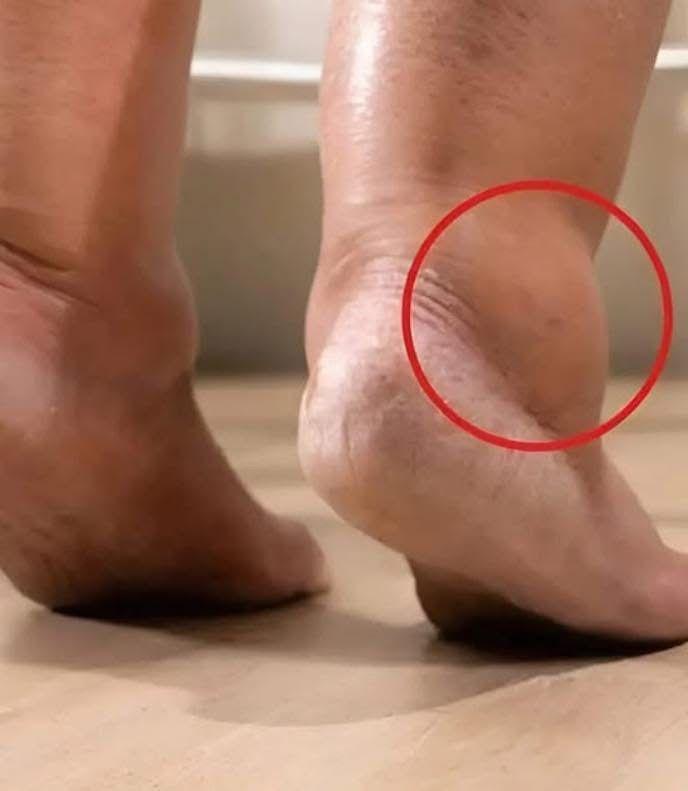 640053221 918400977812139 5287020453129946357 n