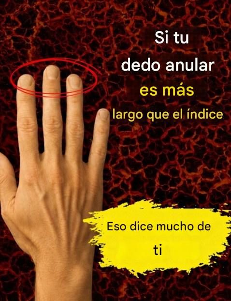 640917894 2149869445823799 5915894375303478448 n