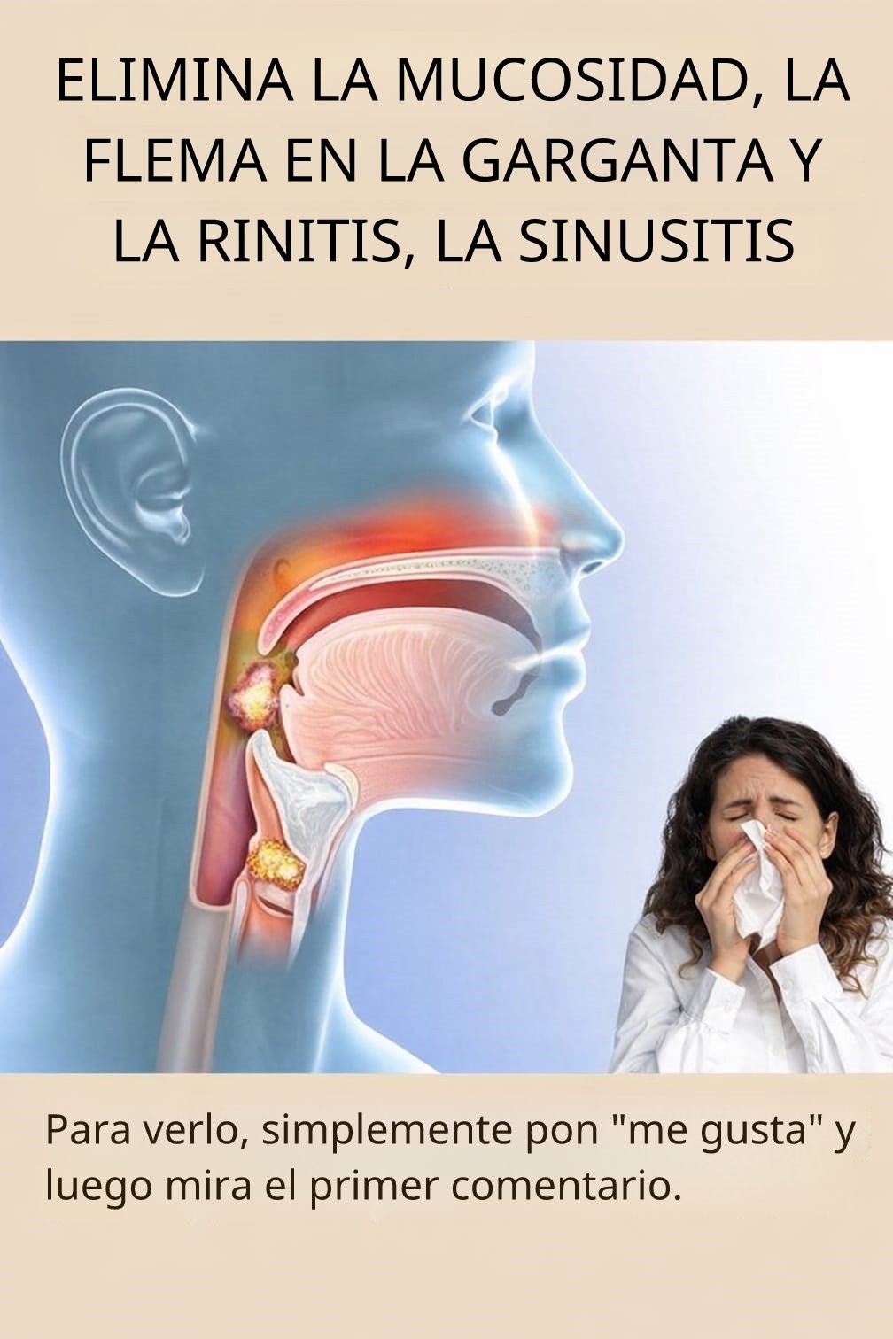 68356cd8 7e73 46e3 865f fc4498979149