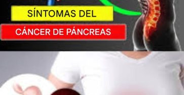 779201244 1860389051608440 5812277955223431207 n