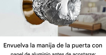 C3d497ee d688 4663 a38c 41627663a09b