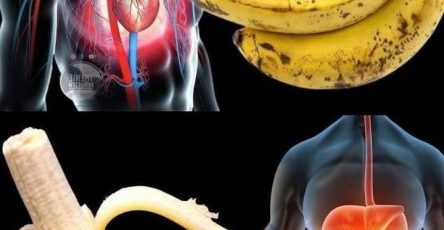 Image 2026 01 10T062254.343