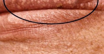 2c9002ec 07f4 4bb5 b11a 4a3602faa654