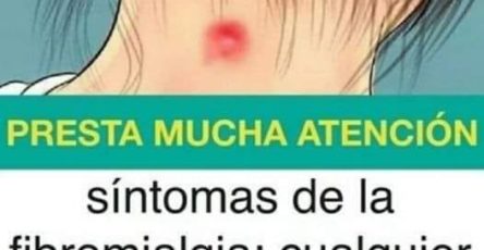 484039019 1193218622410857 2793503978775321503 n