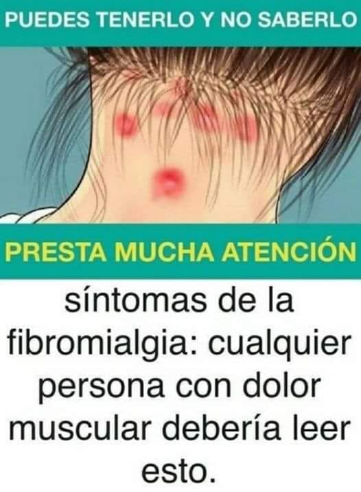 484039019 1193218622410857 2793503978775321503 n