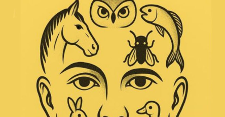 4d5d846b 45e7 4831 81e6 523e7bf437db