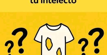 516441890 122198327888450537 3836375363348464176 n 617