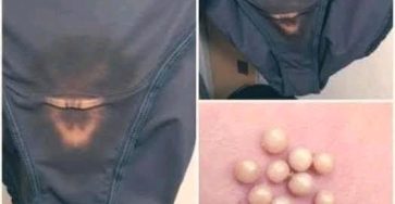 51f6df88 94c2 4784 b125 e04ad53fea75