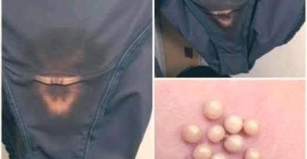 51f6df88 94c2 4784 b125 e04ad53fea75