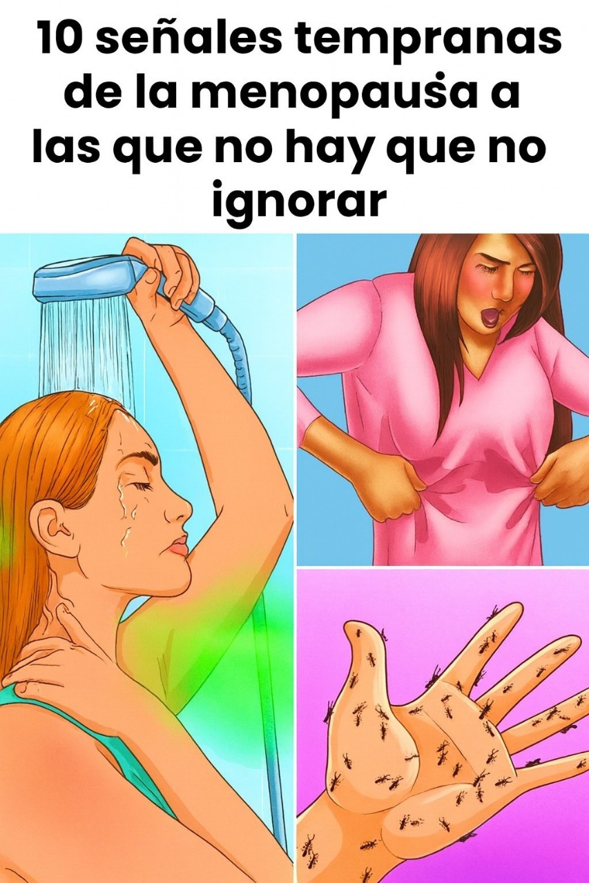 566214460 122154409112629176 4309905505888906708 n