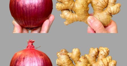 588789761 841008168559519 7677342214507573522 n