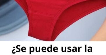 605795805 1375587244613698 5639405439448659651 n