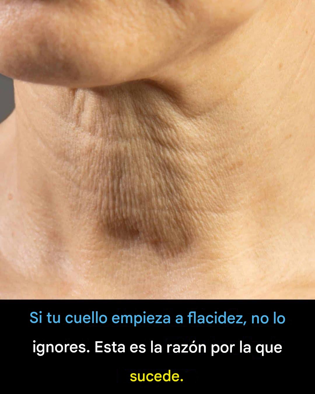 606011472 122106597171159225 8408785226414401701 n