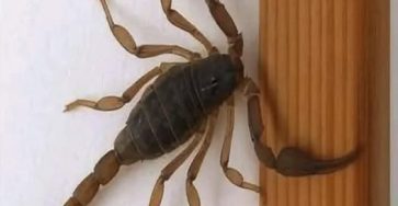 615975068 1389313999907689 5292557463587609691 n