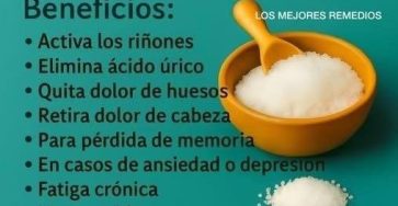 616042897 1384029186809392 2208486348250919620 n