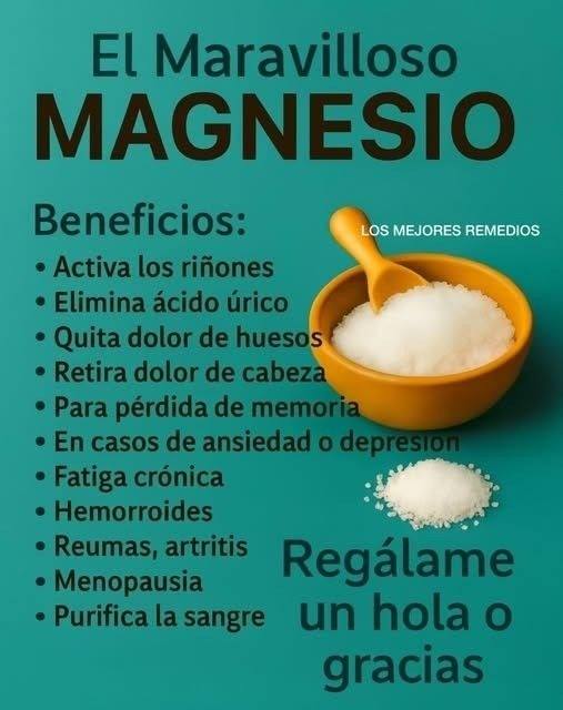 616042897 1384029186809392 2208486348250919620 n