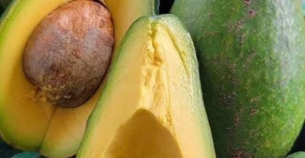 616472642 122210322920283640 6889671170797544604 n