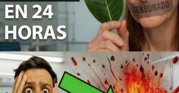 619274999 884029521259914 8856842619810642159 n