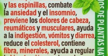 619658238 886108744169775 8029621583555387677 n