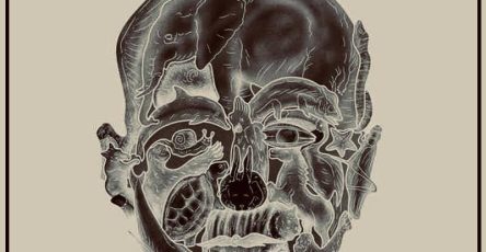 620007072 900181975849940 5325301250026058316 n