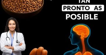 620148098 1400187905486965 5747116118337791261 n