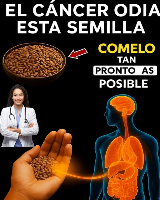 620148098 1400187905486965 5747116118337791261 n