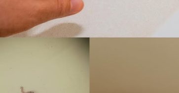 622599006 1481345133556148 3161152622757751536 n