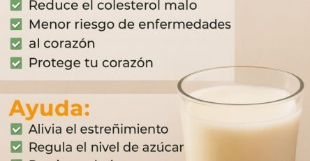 626065996 122103453999237668 8959287544483343685 n